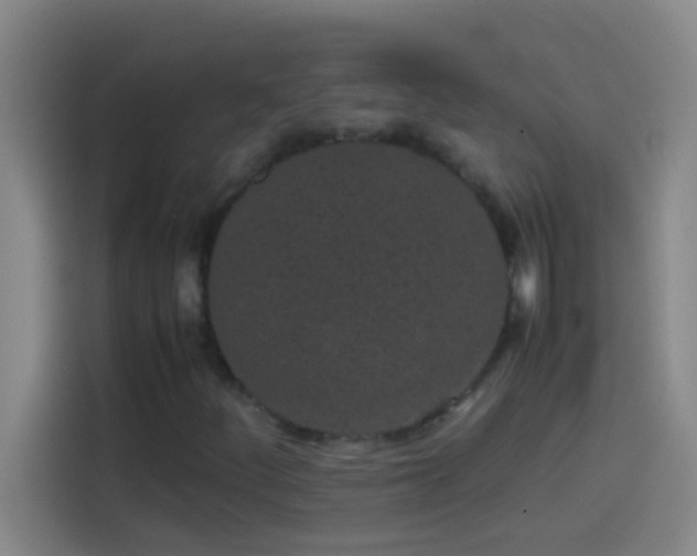 X0000113911252200910011442