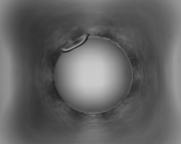 X0000113911253200910011442