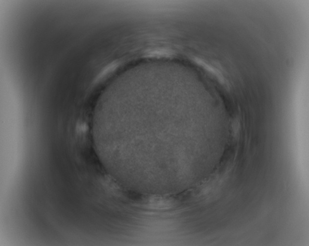 X0000113911254200910011442