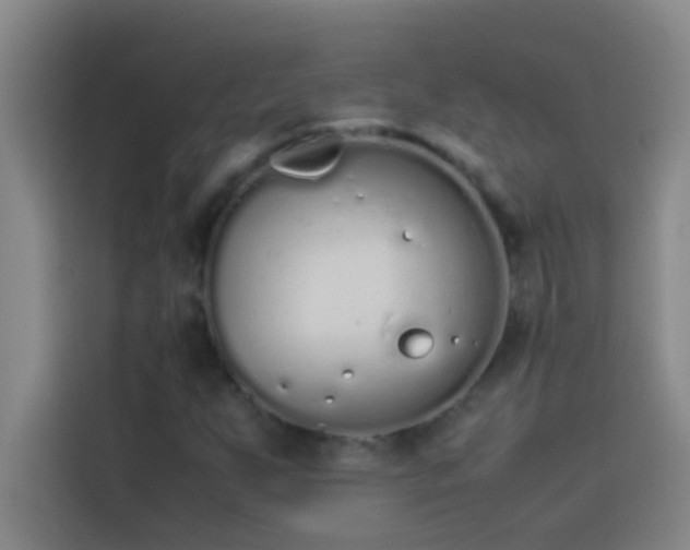 X0000113911255200910011442