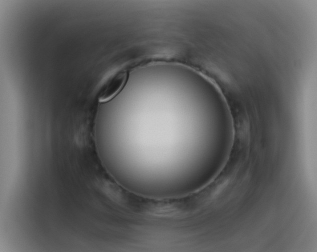 X0000113911256200910011442