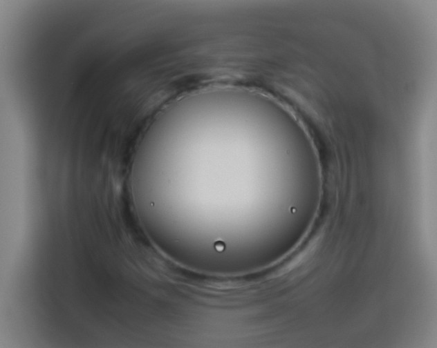 X0000113911257200910011442