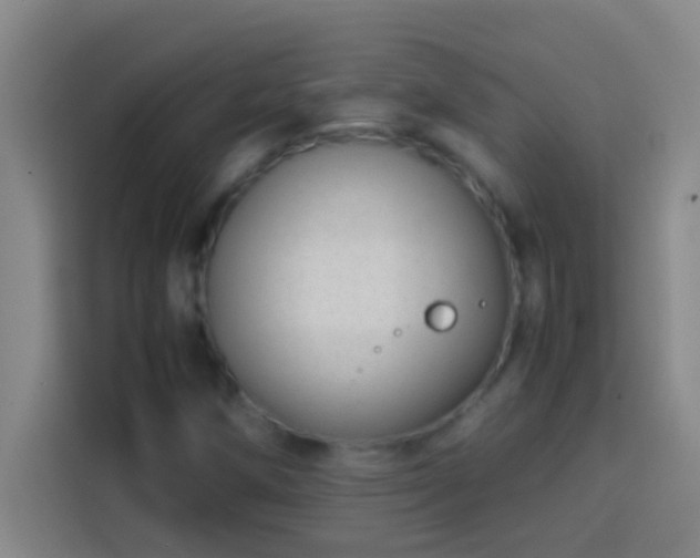 X0000113911258200910011442