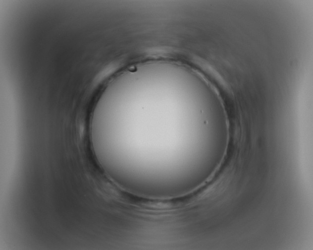 X0000113911261200910011442