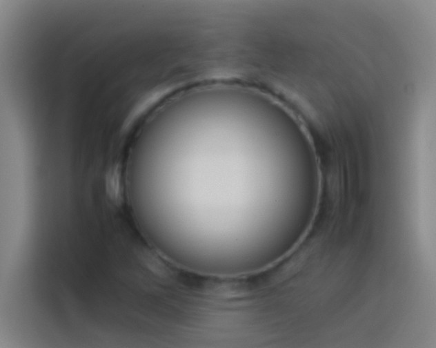 X0000113911262200910011442