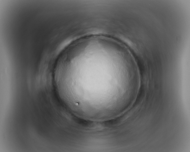 X0000113911263200910011442