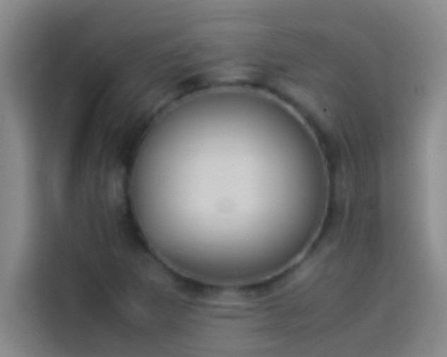 X0000113911265200910011442