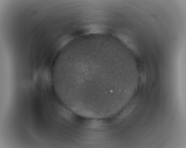 X0000113911266200910011442