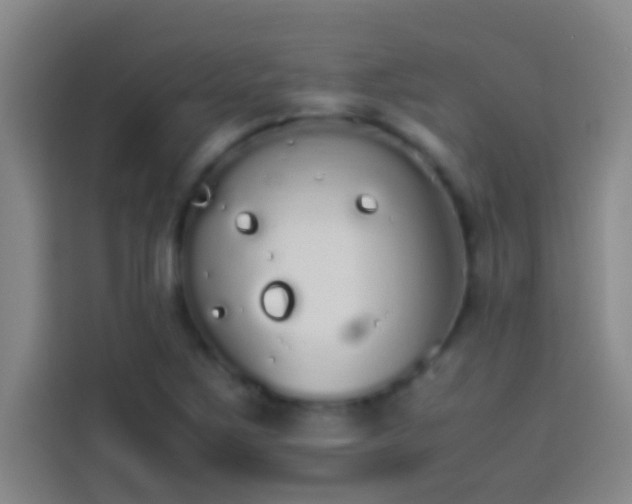 X0000113911267200910011442