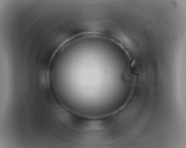 X0000113911268200910011441