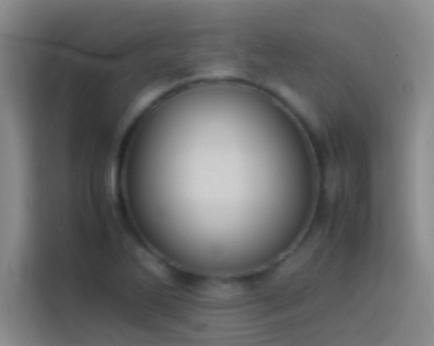 X0000113911270200910011441