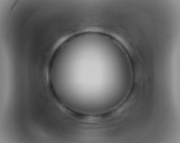 X0000113911271200910011441