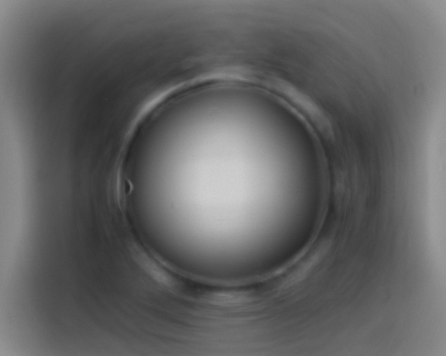 X0000113911272200910011441