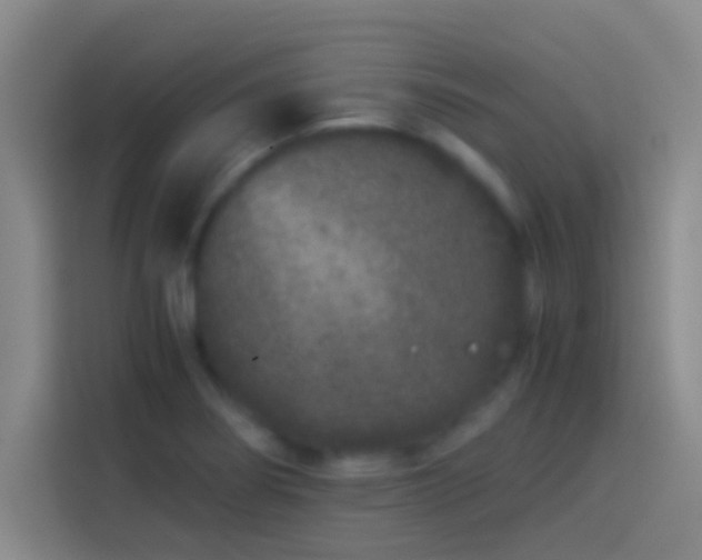 X0000113911274200910011441