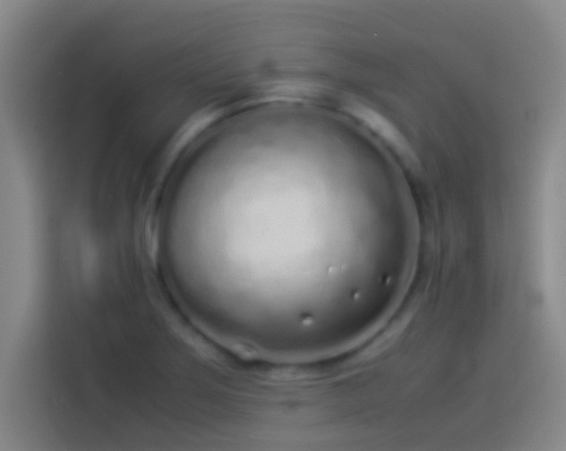 X0000113911275200910011441