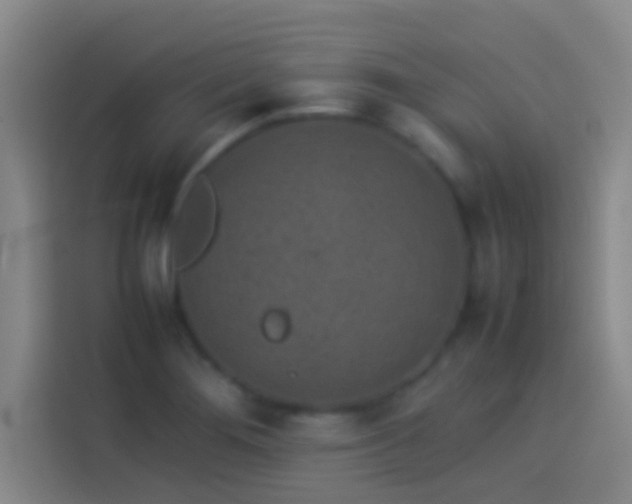 X0000113911276200910011441