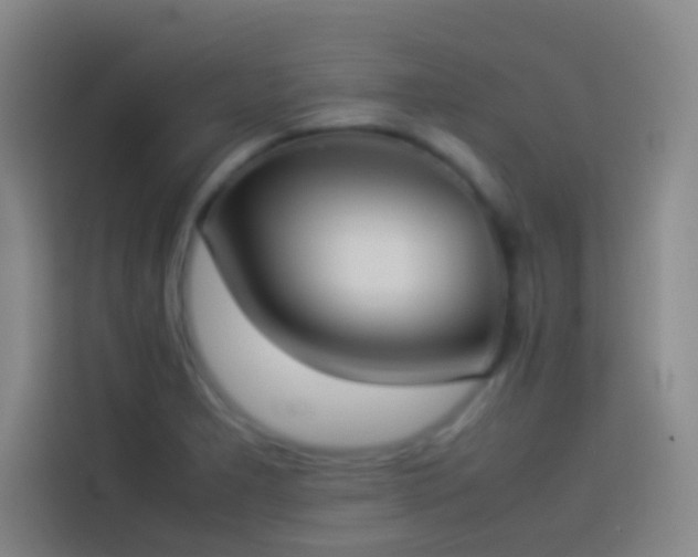 X0000113911277200910011441