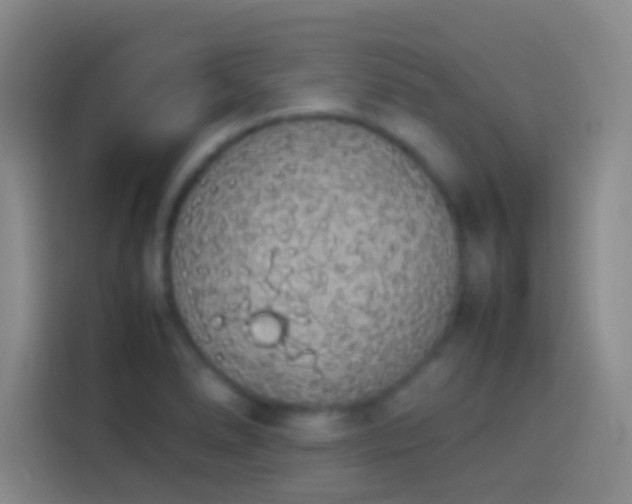 X0000113911278200910011441