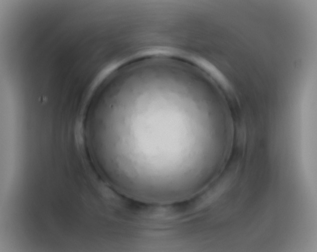 X0000113911279200910011441