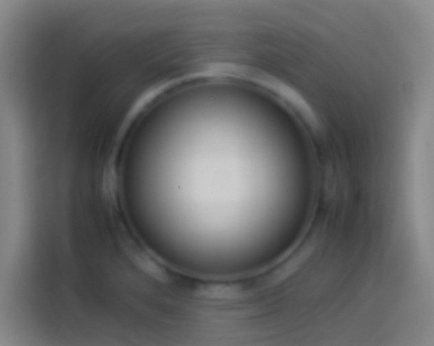 X0000113911280200910011441