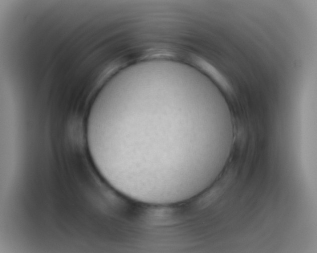 X0000113911282200910011441