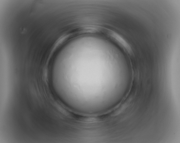 X0000113911283200910011441