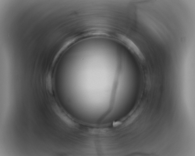 X0000113911284200910011441