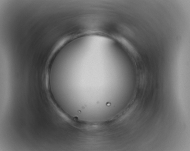 X0000113911286200910011441