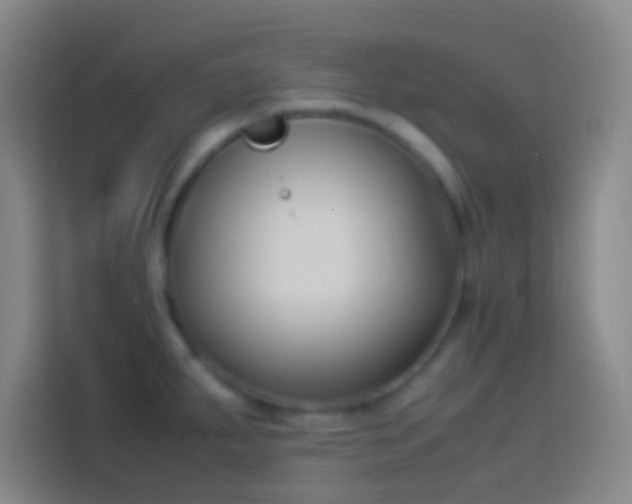 X0000113911287200910011441