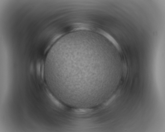 X0000113911290200910011441