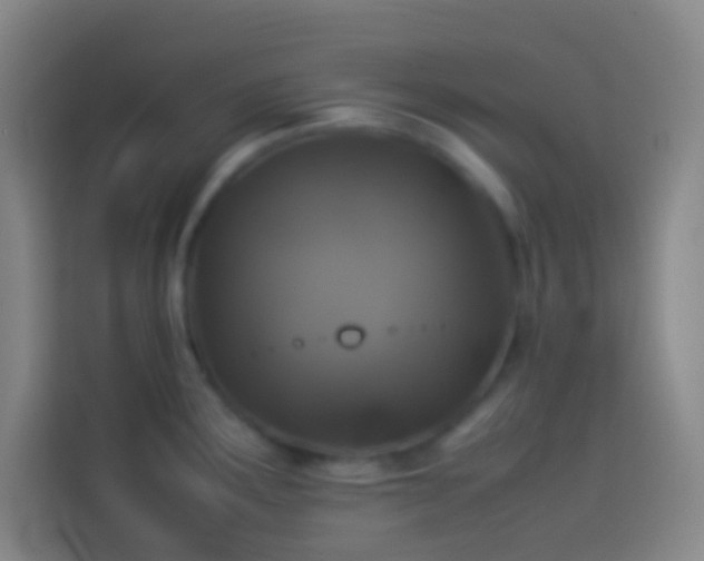 X0000113911291200910011441