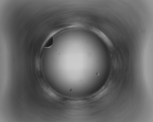 X0000113911292200910011441