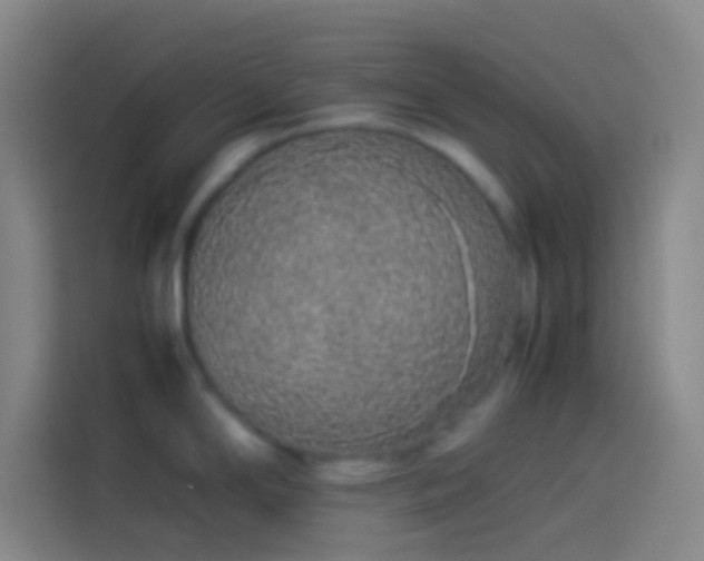 X0000113911294200910011441