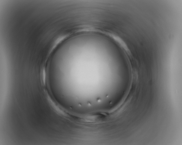 X0000113911295200910011441