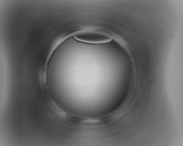 X0000113911296200910011441