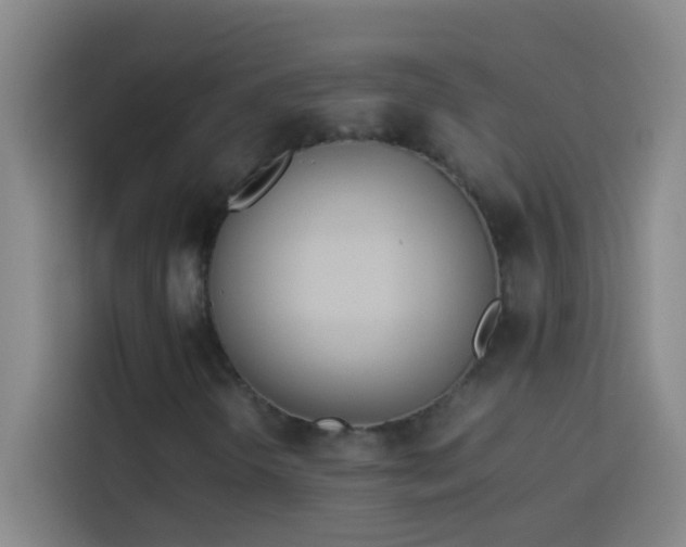 X0000113911298200910011441