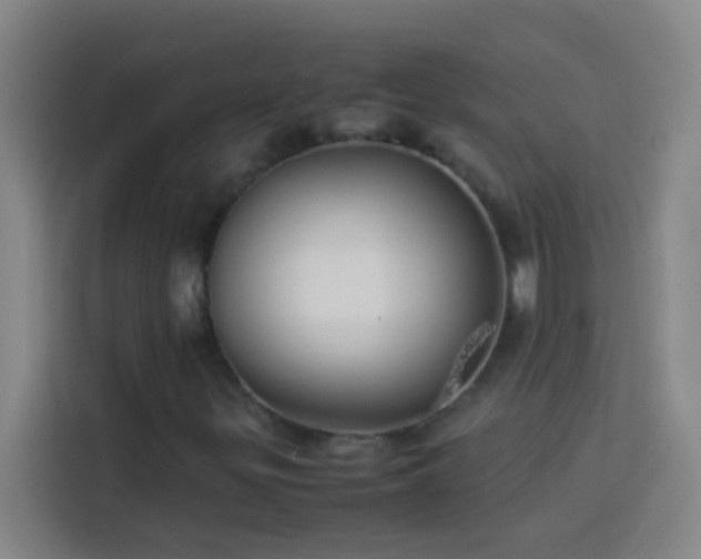 X0000113911299200910011441