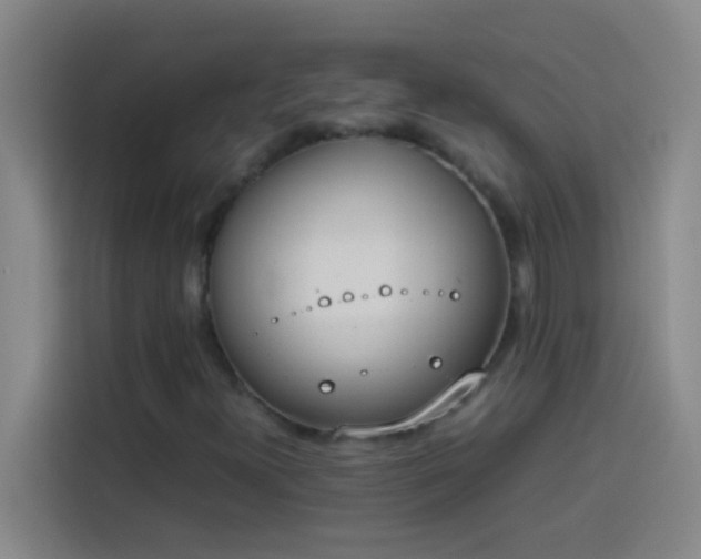 X0000113911300200910011441