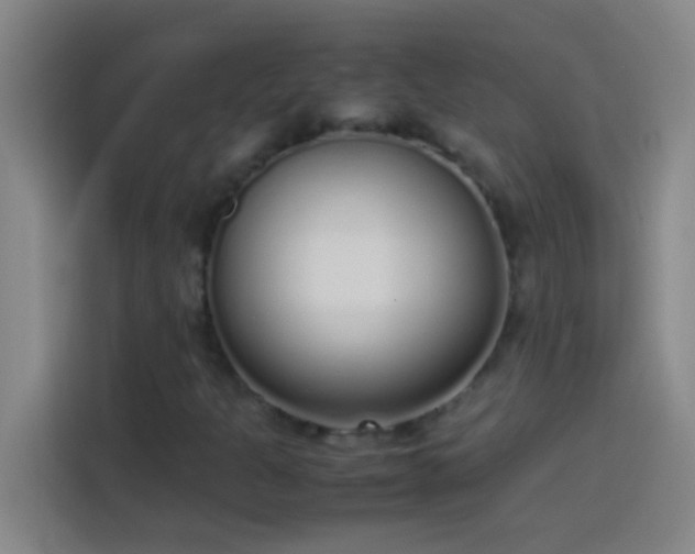 X0000113911301200910011441