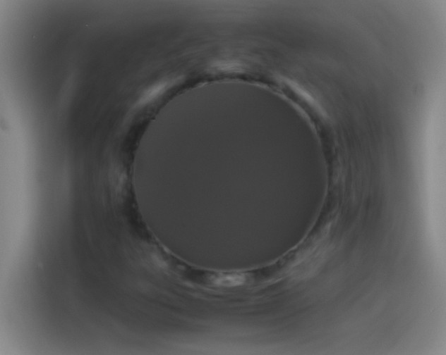 X0000113911303200910011441