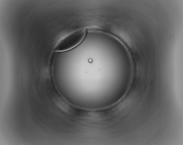 X0000113911308200910011441