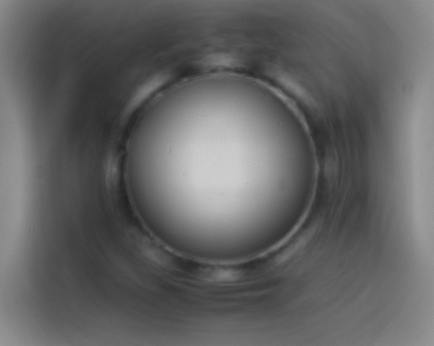 X0000113911309200910011441