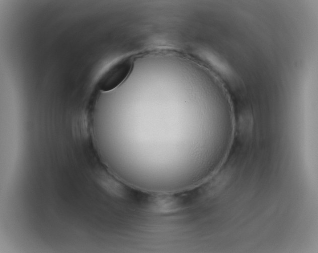 X0000113911310200910011441