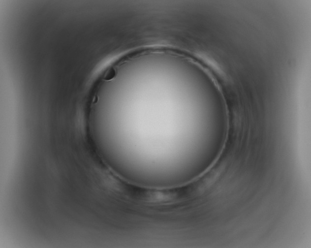 X0000113911311200910011441