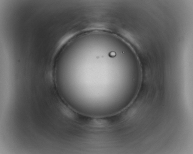 X0000113911312200910011441