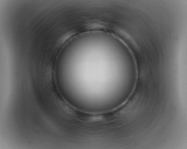 X0000113911313200910011441