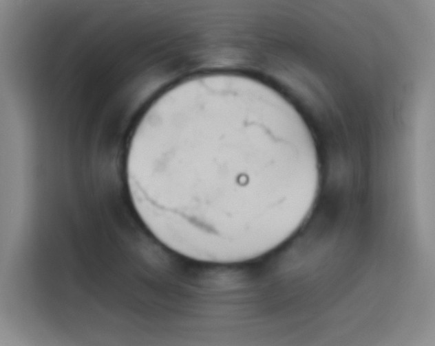 X0000113911314200910011441