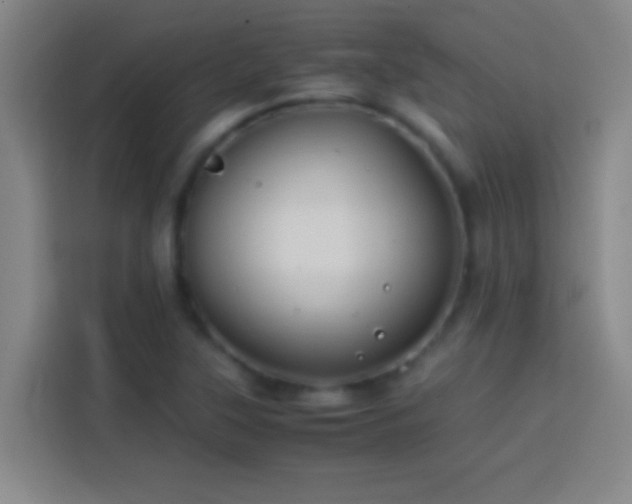 X0000113911315200910011441