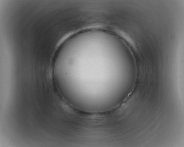 X0000113911316200910011441