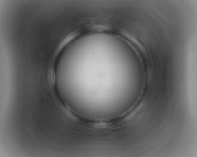 X0000113911317200910011441